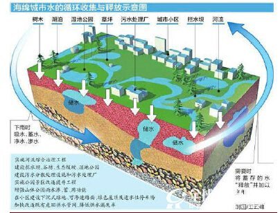  海绵城市水的循环收集与释放示意图