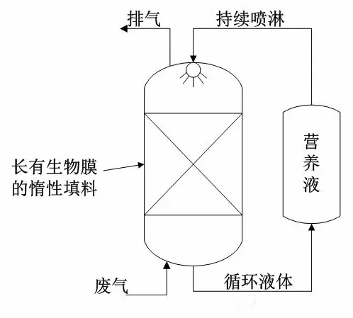 图1 生物滤池